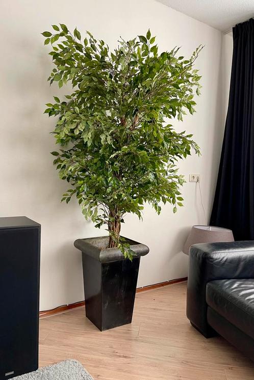 Grote en Levensechte Kunst Plant / Imitatie, Huis en Inrichting, Woonaccessoires | Kunstplanten en Kunstbloemen, Ophalen