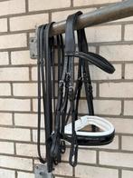 Stang en trens hoofdstel met Dobert frontriem Full, Dieren en Toebehoren, Paarden en Pony's | Hoofdstellen en Tuigage, Ophalen of Verzenden