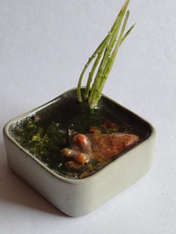 vierkante vijver / miniatuur beschikbaar voor biedingen