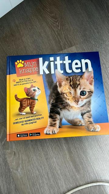 Kay Woodward - Mijn knappe kitten beschikbaar voor biedingen
