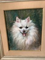 Pastel hond ( keeshond ), Antiek en Kunst, Ophalen of Verzenden