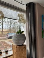 2x Capi Europe Bol Potten - Grijs/Antraciet, Ophalen, Kunststof, Rond, Binnen