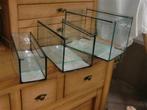 nieuwe aquariumstelling met  40 20 20 cm, Overige typen, Zoetwatervis