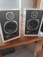 Tannoy luidsprekers set, Gebruikt, Ophalen