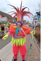 Te koop mooie kleurrijk pakken voor de carnaval, Ophalen, Carnaval, Maat 42/44 (L), Onbekend