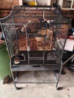 Grote kooi, Dieren en Toebehoren, Vogels | Hokken en Kooien, Ophalen, Metaal, Vogelkooi
