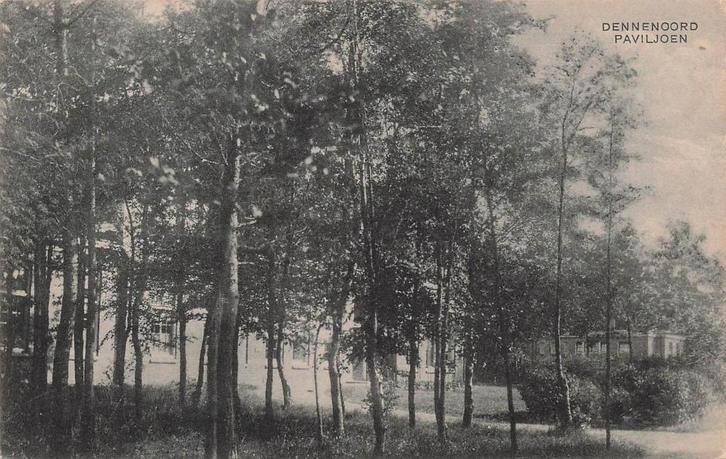 AY980 Dennenoord  Zuidlaren Paviljoen ca. 1915, Verzamelen, Ansichtkaarten | Nederland, Ongelopen, Drenthe, Voor 1920, Verzenden