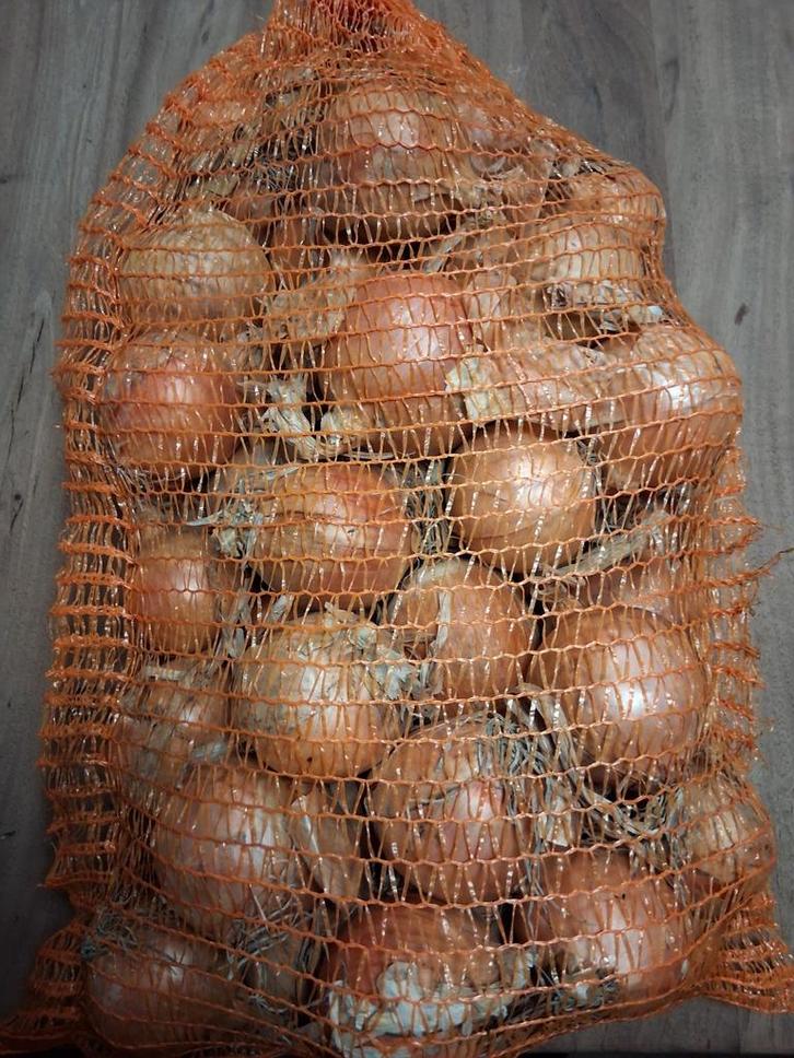 Uien, Dieren en Toebehoren, Stalling en Weidegang