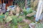 Heeft u een verwaarloosde tuin ?, Ophalen, Zo goed als nieuw, 20 m² of meer