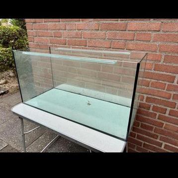 Aquarium visjes of water schildpadjes beschikbaar voor biedingen