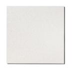 GEZOCHT: Systeemplafond platen/ tegels - 60x60 cm, doorzak, Doe-het-zelf en Verbouw, Platen en Panelen, Ophalen of Verzenden, Nieuw