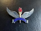Usaf instructor wing, Verzamelen, Ophalen of Verzenden, Landmacht, Nederland, Embleem of Badge