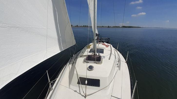 Zeiljacht Standfast Loper 27, Watersport en Boten, Kajuitzeilboten en Zeiljachten, Gebruikt, Tourjacht of Cruiser, Polyester, 6 tot 9 meter