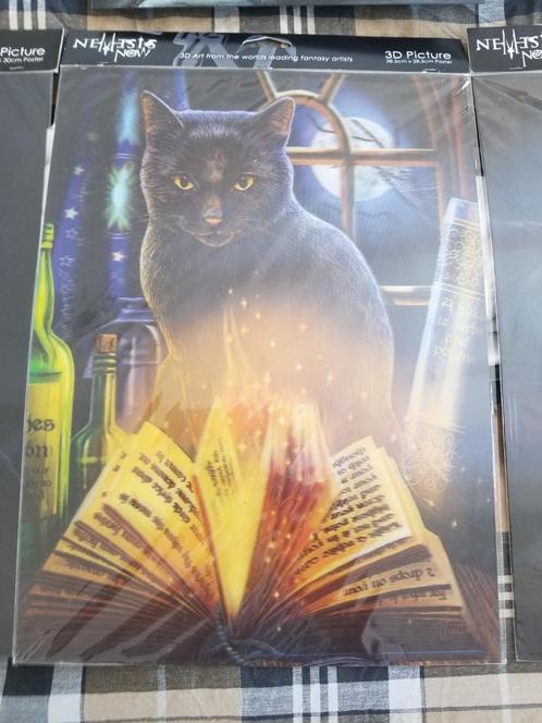 4x diverse 3D black Cat picture, Verzamelen, Posters, Nieuw, Dier of Natuur, A1 t/m A3, Rechthoekig Staand, 3D, Ophalen of Verzenden