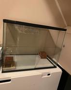 Knaagdier gerbilarium, zie omschrijving!, Dieren en Toebehoren, Knaagdieren en Konijnen | Hokken en Kooien, Ophalen, Kooi, 60 tot 90 cm