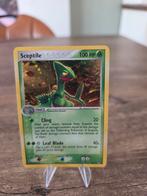 Pokemon Sceptile 6/109 Holo Rare, Ophalen of Verzenden, Gebruikt, Losse kaart, Foil