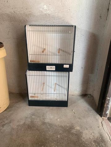 2 Tentoonstellingskooien beschikbaar voor biedingen