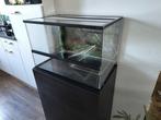 Schildpadden terrarium/paludarium, Dieren en Toebehoren, Reptielen en Amfibieën | Toebehoren, Ophalen, Zo goed als nieuw