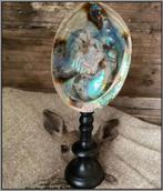 Abalone schelp op voet, Huis en Inrichting, Woonaccessoires | Overige, Ophalen of Verzenden, Nieuw