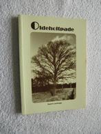 Oldeholtpade - Historische wetenswaardigheden Geert Lantinga, Boeken, Ophalen of Verzenden, Zo goed als nieuw