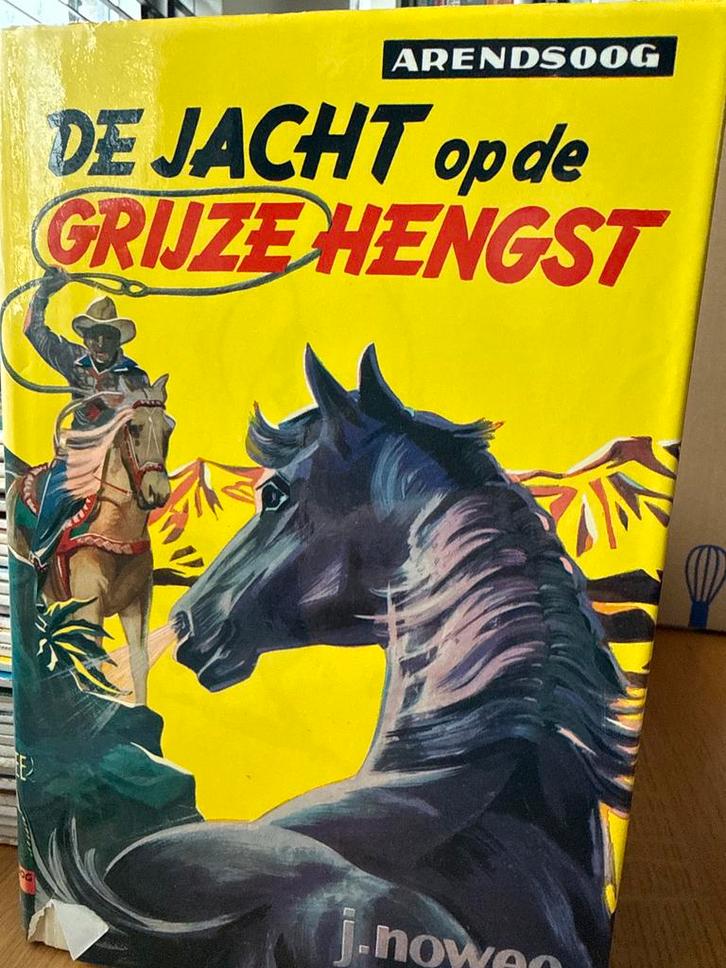 Arendsoog boeken van P. Nowee uit de jaren 60, Boeken, Avontuur en Actie, Zo goed als nieuw, Ophalen of Verzenden