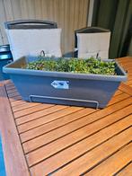 4 plantenbakken met waterreservoir, Kunststof, Minder dan 30 cm, Balkon, Rond