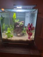 Superfish QUBIQ 30 pro aquarium, Dieren en Toebehoren, Vissen | Aquaria en Toebehoren, Ophalen, Zo goed als nieuw