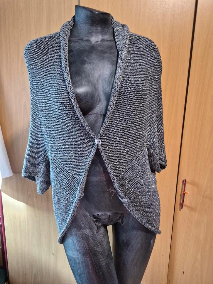 Zilverkleurige Marina Rinaldi Vest - Maat L, Kleding | Dames, Truien en Vesten, Zo goed als nieuw, Maat 42/44 (L), Grijs, Ophalen of Verzenden