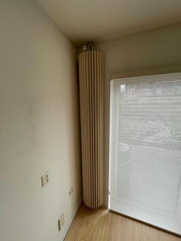 Twee moderne verticale designradiatoren – samen voor €100 beschikbaar voor biedingen