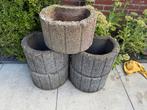 Planten potten hoogte 20cmx breed 30cm GRATIS, Tuin en Terras, Planten | Tuinplanten, Ophalen, Zomer, Overige soorten, Volle zon