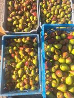 Peren voor sap, Diversen, Levensmiddelen, Ophalen