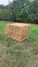 Biologisch stro en strooisel (gecertificeerd), Zakelijke goederen, Agrarisch | Veevoer, Ophalen of Verzenden