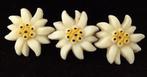 Edelweiss, mooie vintage celluloid broche (7923-4921), Sieraden, Tassen en Uiterlijk, Broches, Overige materialen, Zo goed als nieuw