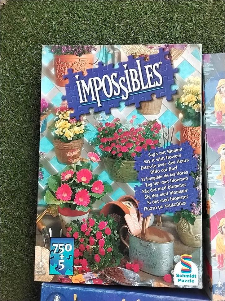 Impossibles Puzzels - 750 stukjes, Hobby en Vrije tijd, Denksport en Puzzels, Zo goed als nieuw, Legpuzzel, 500 t/m 1500 stukjes
