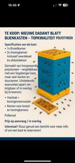 Nieuwe Dadant Blatt Bijenkast – Stevig & licht, Dieren en Toebehoren, Bijen