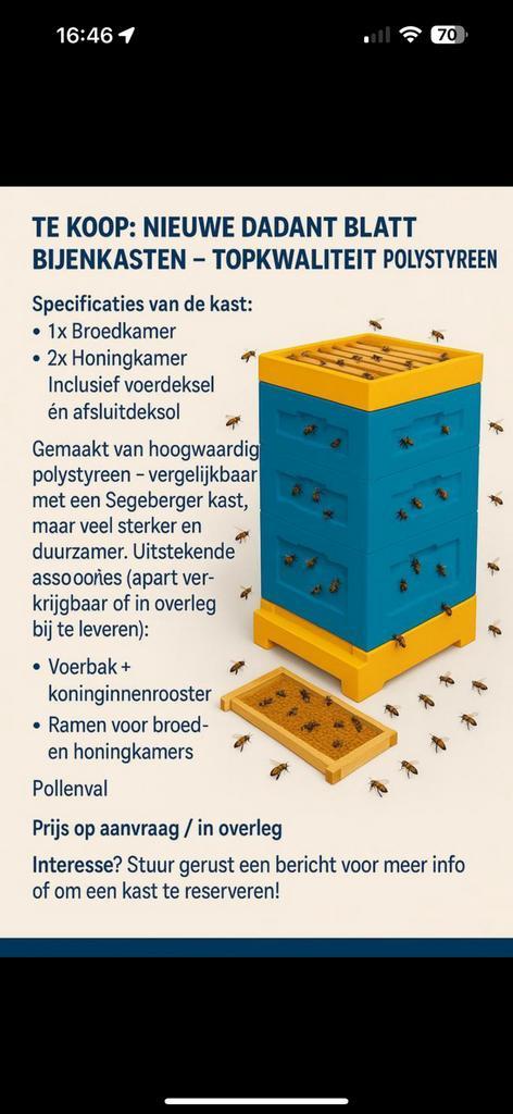 Nieuwe Dadant Blatt Bijenkast – Stevig & licht, Dieren en Toebehoren, Insecten en Spinnen, Bijen