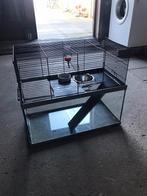 Muizen/Ratten kooi 60x30 H=52cm.  Onderbak is van glas., Kooi, Gebruikt, Minder dan 75 cm, Muis