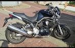 Yamaha bulldog, Motoren, Motoren | Yamaha, Cardan-aandrijving, 2 cilinders, Particulier, Meer dan 35 kW
