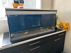 Aqualantis aquarium 180 liter, Ophalen, Leeg aquarium