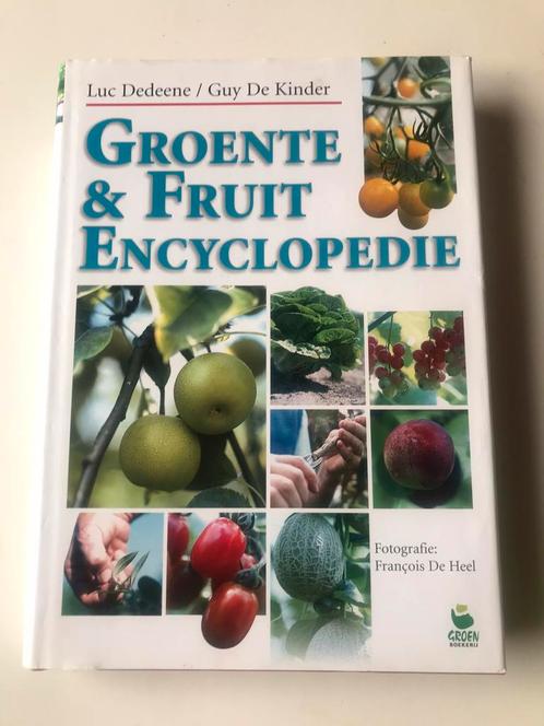 Luc Dedeene Guy De Kinder - Groente & Fruit encyclopedie, Boeken, Wonen en Tuinieren, Zo goed als nieuw, Moestuin, Ophalen of Verzenden