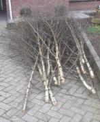 berkentakken, Ophalen, Materiaal