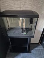Groot aquarium met toebehoren, Dieren en Toebehoren, Vissen | Aquaria en Toebehoren, Ophalen of Verzenden, Leeg aquarium
