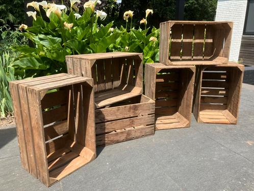 6 oude fruitkisten Roermond - veilingkisten, Huis en Inrichting, Woonaccessoires | Kisten, Gebruikt, Minder dan 50 cm, Minder dan 50 cm