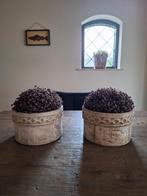 Vintage Bloempotten van Beton, Gebruikt, Rond, Beton, Tuin