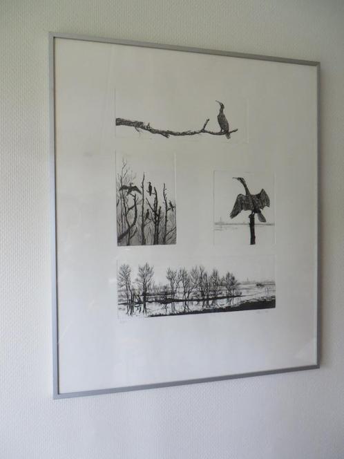 Ets compilatie van aalscholvers, door Ans van der Zweep 1993, Antiek en Kunst, Kunst | Etsen en Gravures, Ophalen of Verzenden