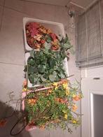 Lente herfst winter zomer kunstbloemen en planten, Ophalen of Verzenden, Halfschaduw, Minder dan 100 cm
