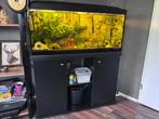 Zoetwater aquarium, Dieren en Toebehoren, Ophalen, Gebruikt, Gevuld zoetwateraquarium