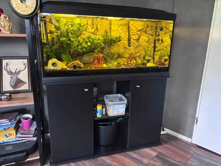 Zoetwater aquarium, Dieren en Toebehoren, Vissen | Aquaria en Toebehoren, Gebruikt, Gevuld zoetwateraquarium, Ophalen