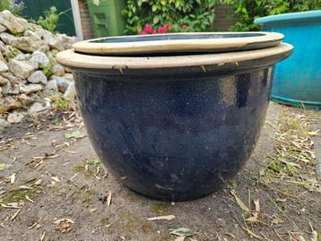 Bloempot Donkerblauw beschikbaar voor biedingen