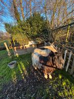 Hollandse landgeiten., Dieren en Toebehoren, Schapen, Geiten en Varkens, Meerdere dieren, Geit